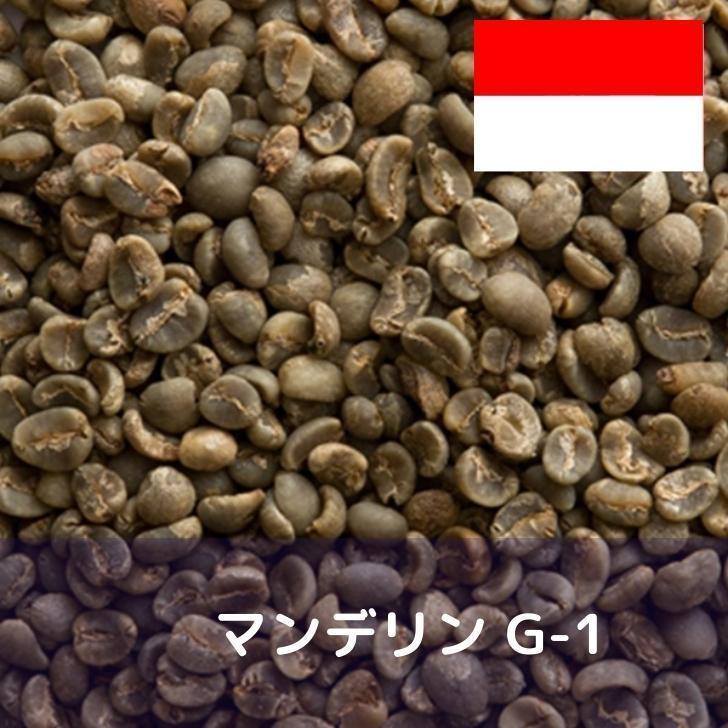 コーヒー生豆 10kg マンデリン G−1