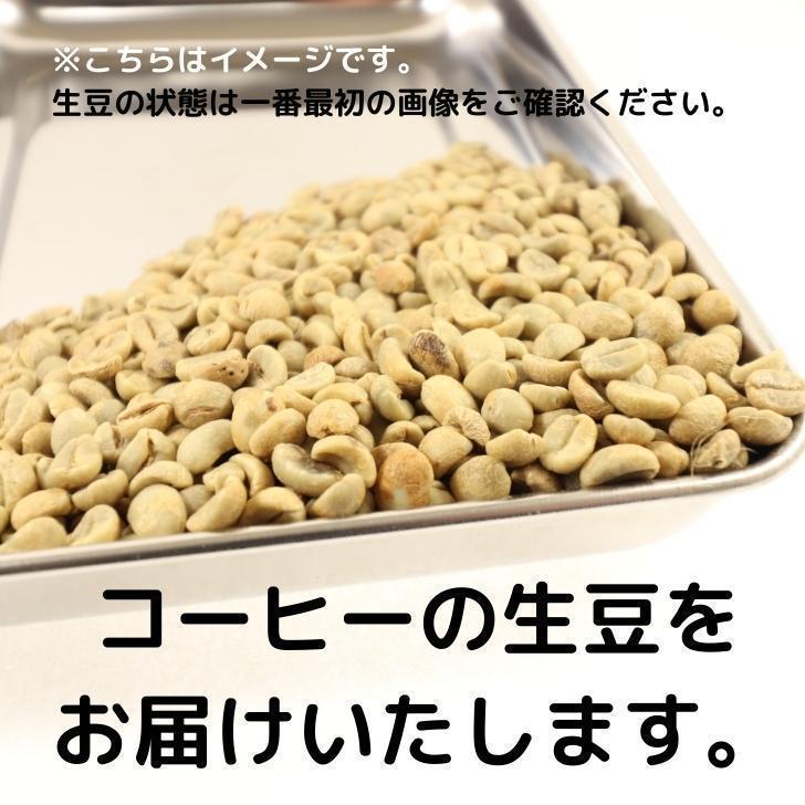 コーヒー生豆 10kg マンデリン G−1