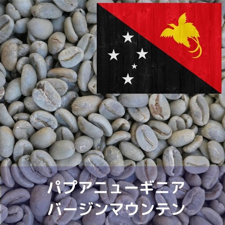 コーヒー生豆 10kg パプアニューギニア バージンマウンテン