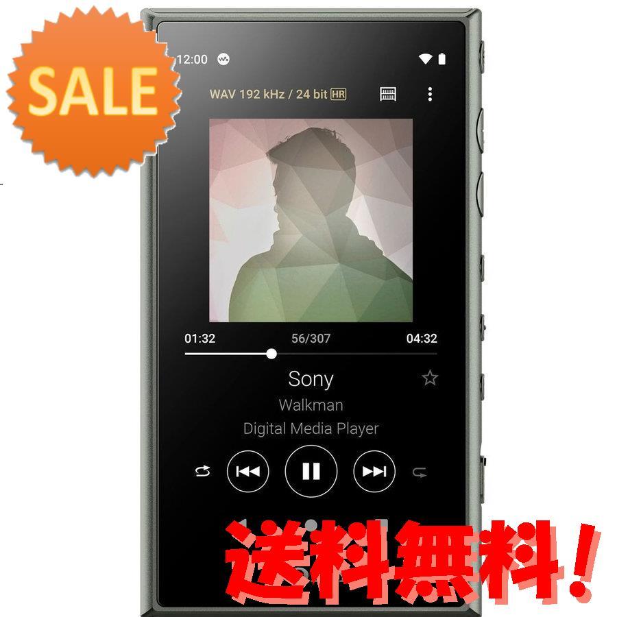 ソニー ネットワーク対応ウォークマン A100シリーズ 16gb ヘッドホン非同梱モデル アッシュグリーン So 円キャッシュバック Antoniodomingo Es