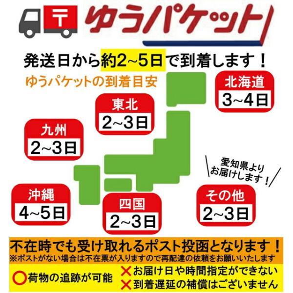【在庫あり/1枚入】今治ガーゼマスク ガーゼマスク 国産 日本製 洗って使えるタオルマスク 今治 布マスク タオル マスク 布 |  | 07
