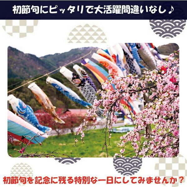 ごっつん防止 ヘッドガード こいのぼり ベビー キッズ 男の子 鯉のぼり こどもの日 子供の日 端午の節句 袴 カバーオール 衣装 初節句 フォーマル 赤ちゃん | キッズ | 01