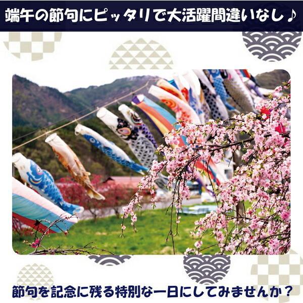 カブト 兜 フェルト 帽子 節句 初節句 端午の節句 衣装 こどもの日 子供の日 男の子 五月人形 袴 ロンパース 和服 着物 七五三 結婚式  袴 ロンパース 男の子 |  | 01