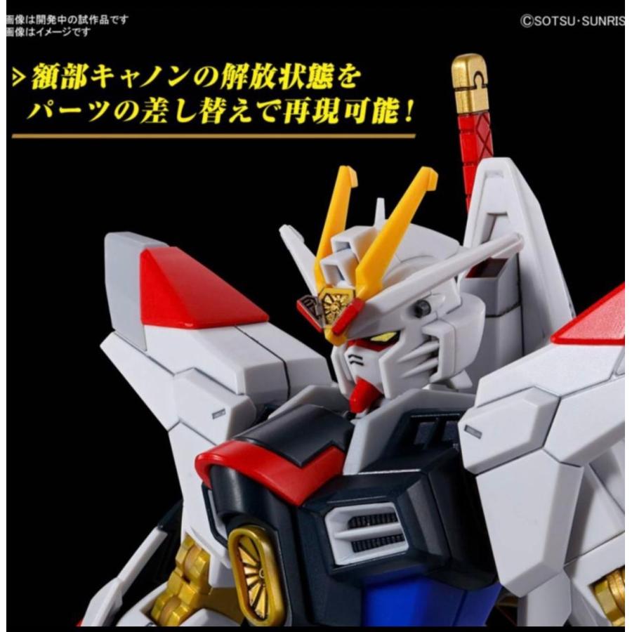 HG 機動戦士ガンダムSEED FREEDOM マイティーストライクフリーダム 