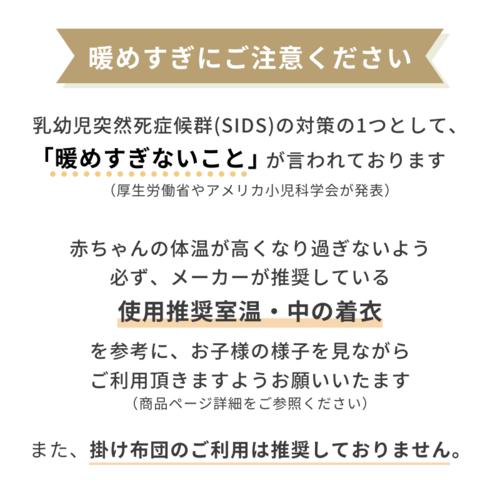 【日本正規販売店】【最短当日発送】 SWADDLE UP STAGE 2 スワドルアップ ステージ2 TRANSITION BAG