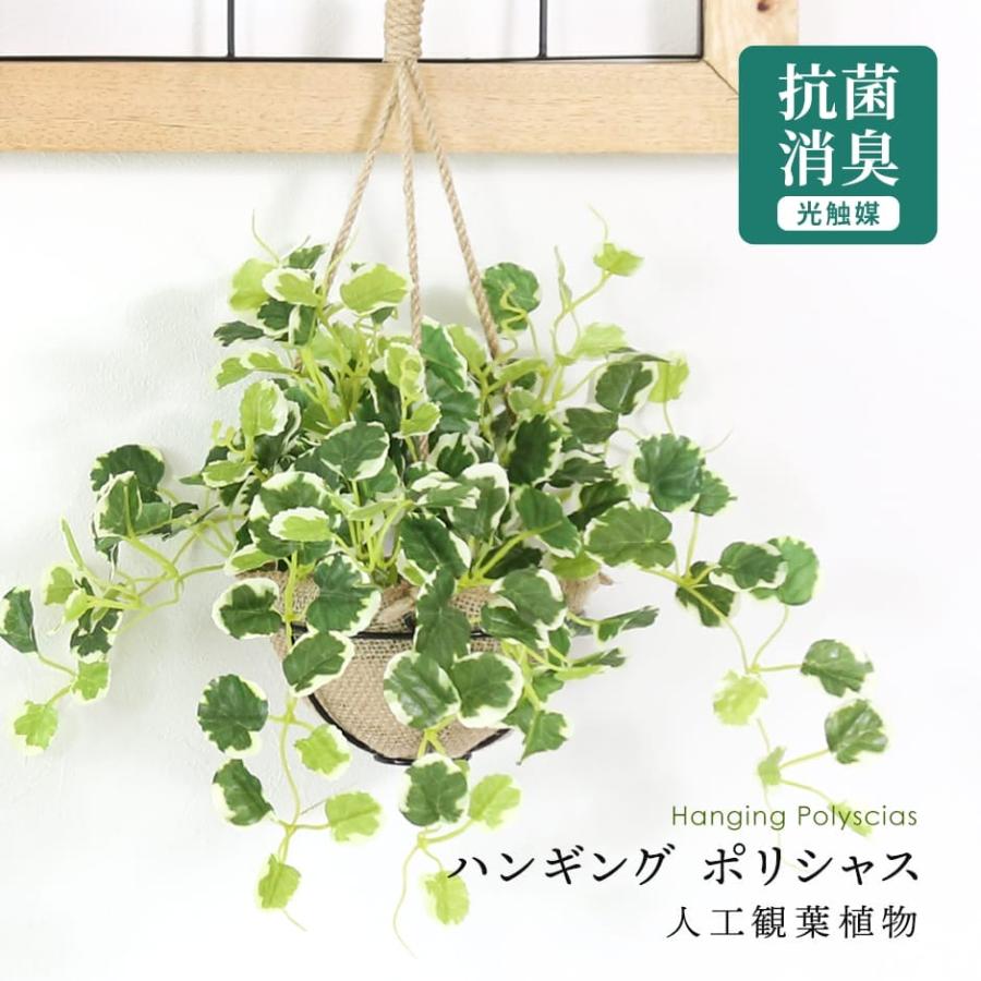 DORIS（ドリス） 人工観葉植物 光触媒 水やり不要 高さ25 インテリア