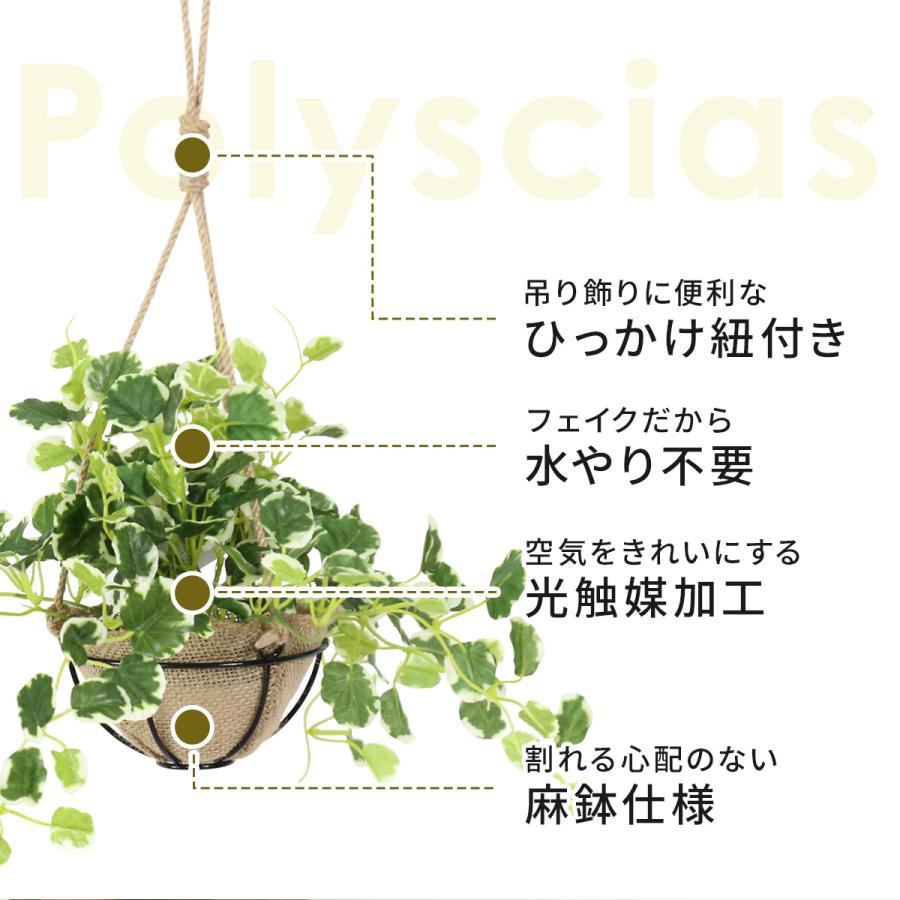DORIS（ドリス） 人工観葉植物 光触媒 水やり不要 高さ25 インテリア