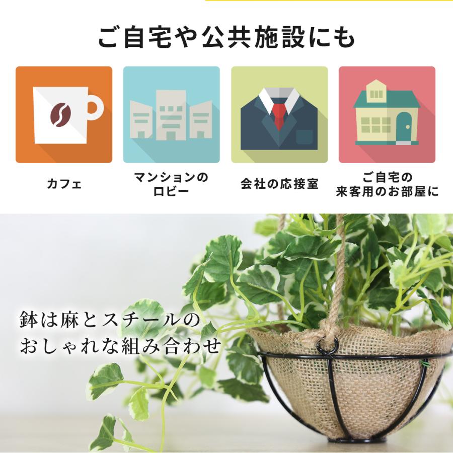 DORIS（ドリス） 人工観葉植物 光触媒 水やり不要 高さ25 インテリア