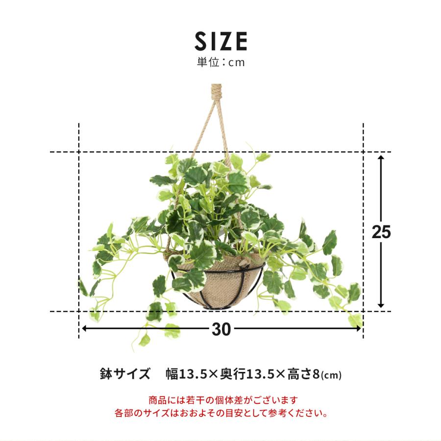 DORIS（ドリス） 人工観葉植物 光触媒 水やり不要 高さ25 インテリア