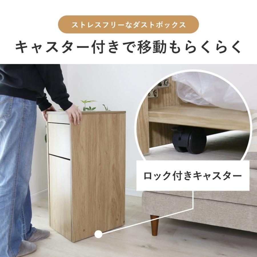 DORIS（ドリス） ゴミ箱 45リットル スリム キッチン リビング 蓋付き