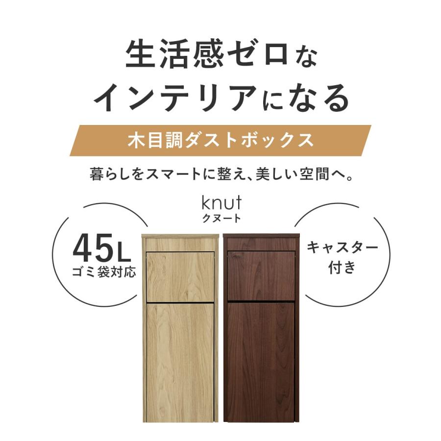 DORIS（ドリス） ゴミ箱 45リットル スリム キッチン リビング 蓋付き