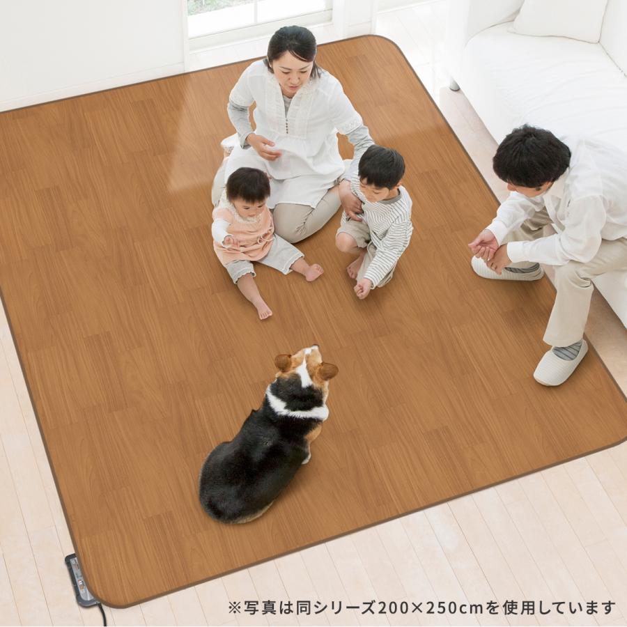 DORIS（ドリス） 防水ラグマット 185×120cm 敷くだけ お手入れ簡単