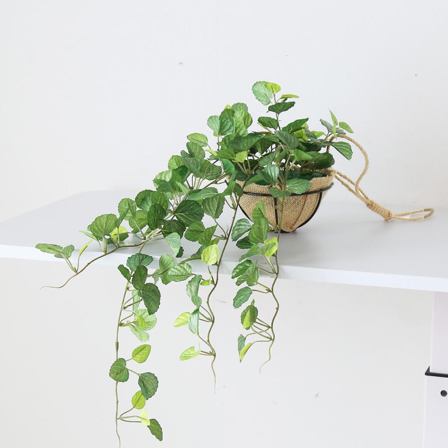 DORIS（ドリス） 人工観葉植物 光触媒 水やり不要 インテリアグリーン