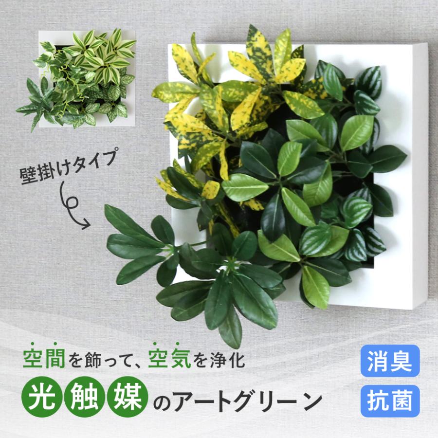 DORIS（ドリス） 人工植物 観葉植物 光触媒 造花 植物 フェイク