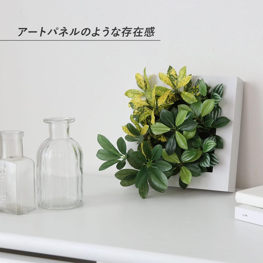 DORIS（ドリス） 人工植物 観葉植物 光触媒 造花 植物 フェイク