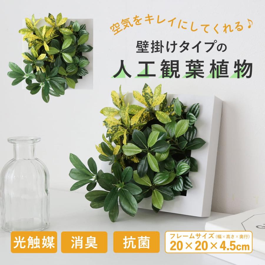 DORIS（ドリス） 人工植物 観葉植物 光触媒 造花 植物 フェイク