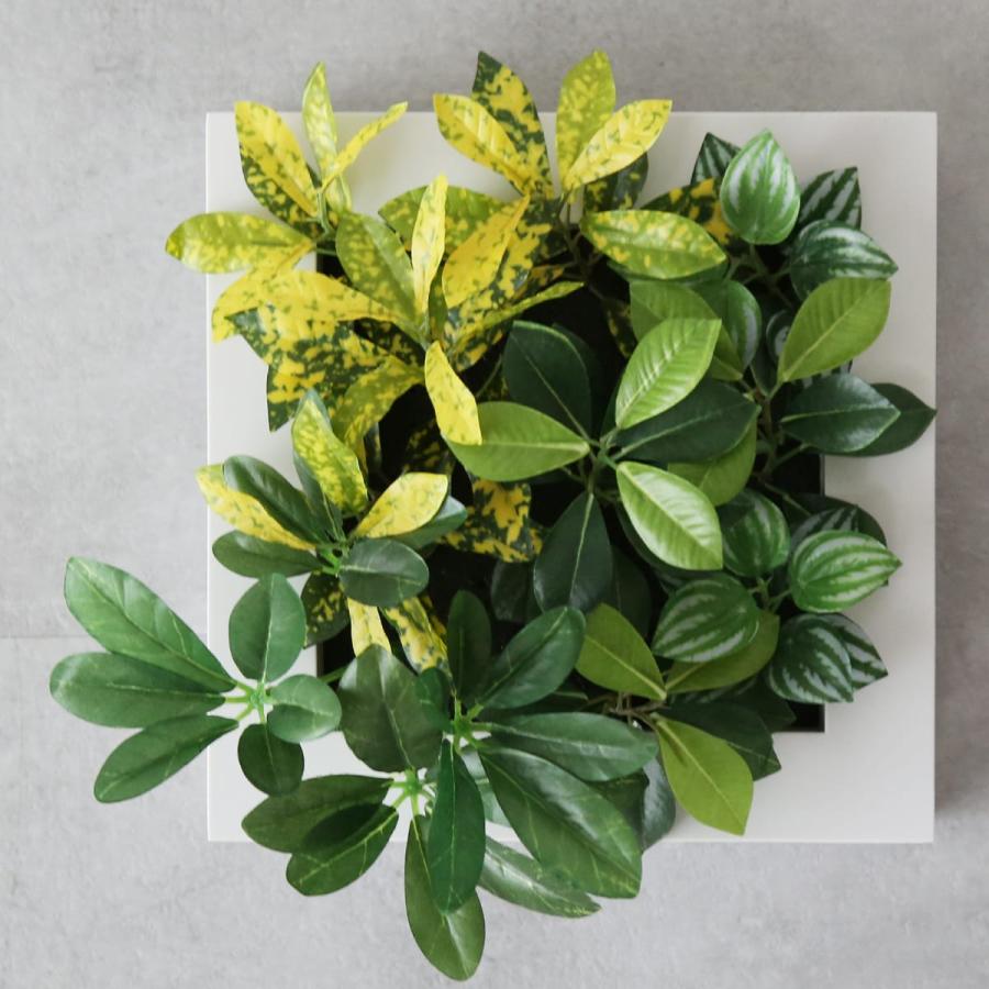 DORIS（ドリス） 人工植物 観葉植物 光触媒 造花 植物 フェイク