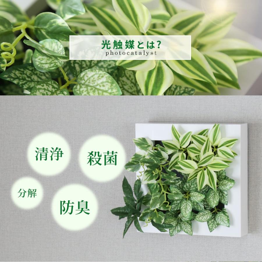 光触媒　人工観葉植物　ウォールグリーン　フェイクグリーン　エスターリリー 光触媒 観葉植物 壁掛け リアル フェイクグリーン 壁 人工観葉植物