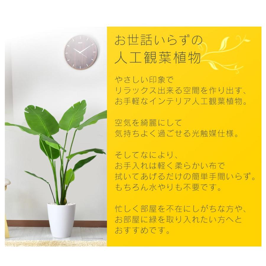 DORIS（ドリス） 人工植物 観葉植物 光触媒 造花 植物 フェイク