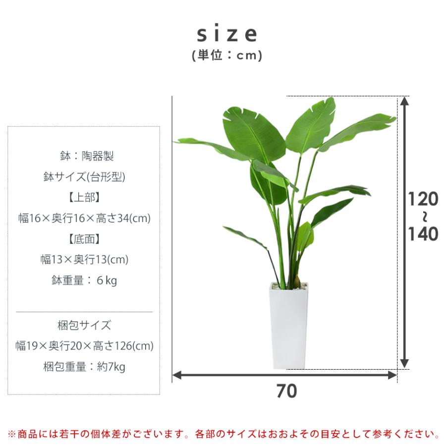 人工植物 観葉植物 光触媒 造花 植物 フェイクグリーン 鉢付き リビング 消臭 殺菌 防臭 オーガスタ 北欧 プレゼント Dr Augusta Doris 通販 Yahoo ショッピング