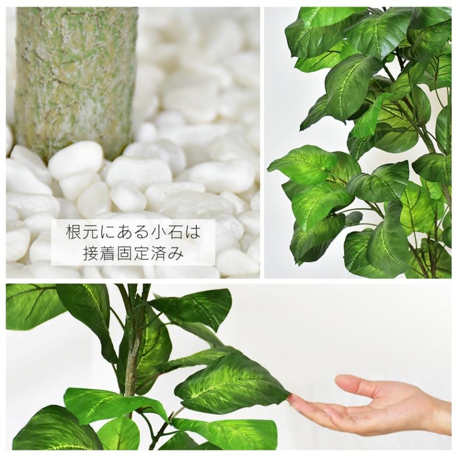 DORIS（ドリス） 人工植物 観葉植物 光触媒 造花 植物 フェイク