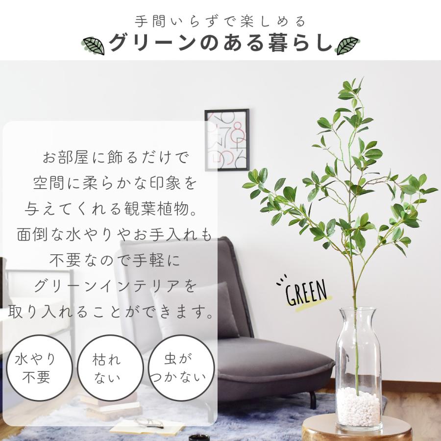 観葉植物 光触媒 フェイクグリーン 造花 人工 インテリア フィカス インテリア家具 おすすめ おしゃれ 北欧 プレゼント Dr Ficusglass Doris 通販 Yahoo ショッピング