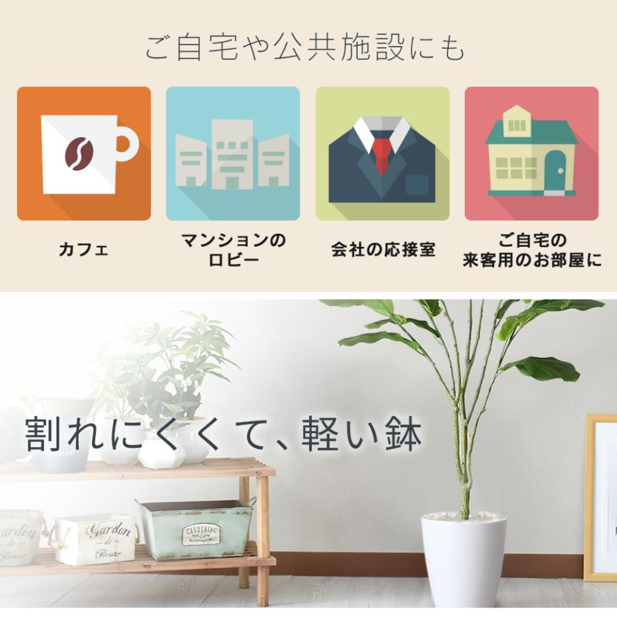 DORIS（ドリス） 観葉植物 人工観葉植物 フェイクグリーン 