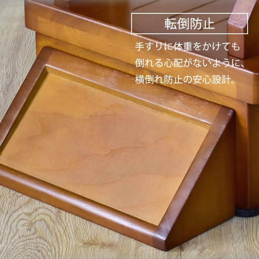段差解消　台　手摺付き　ハーゲン　ドリス　新品箱入り　名古屋発 DORIS（ドリス） 玄関台 踏み台 玄関 手すり ステップ 段差 昇降台
