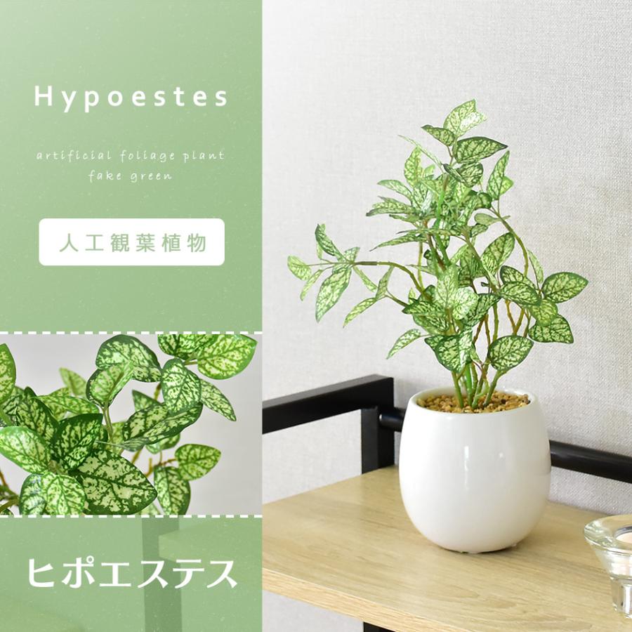 DORIS（ドリス） 人工植物 観葉植物 光触媒 造花 植物 フェイク