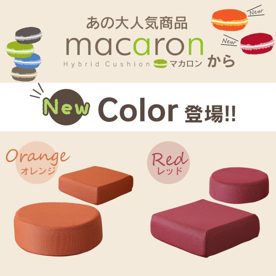 DORIS（ドリス） 座椅子 コンパクト クッション 低反発 高反発 極厚