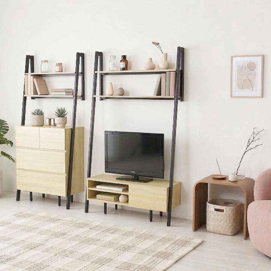 DORIS（ドリス） テレビ台 テレビボード テレビラック スチール 壁面