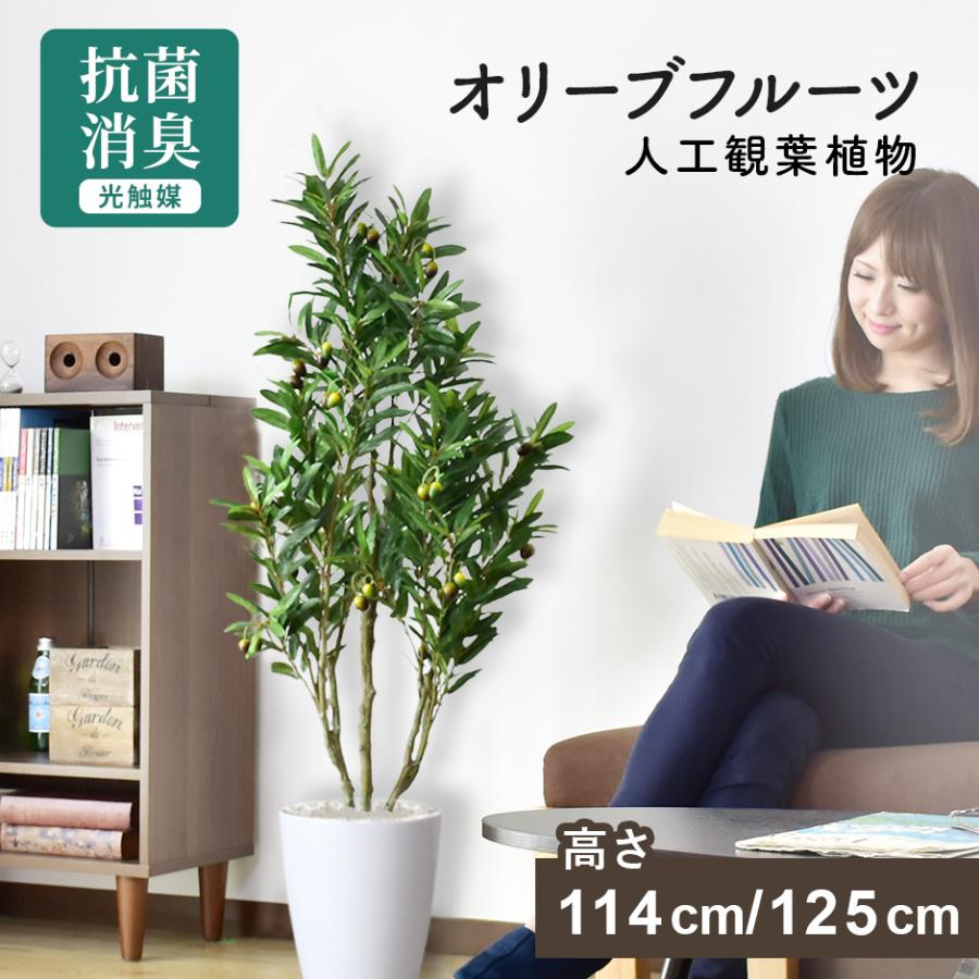 DORIS（ドリス） 人工植物 観葉植物 光触媒 造花 植物 フェイク