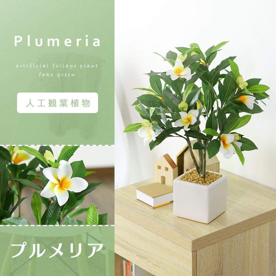 DORIS（ドリス） 人工植物 観葉植物 光触媒 造花 植物 フェイク