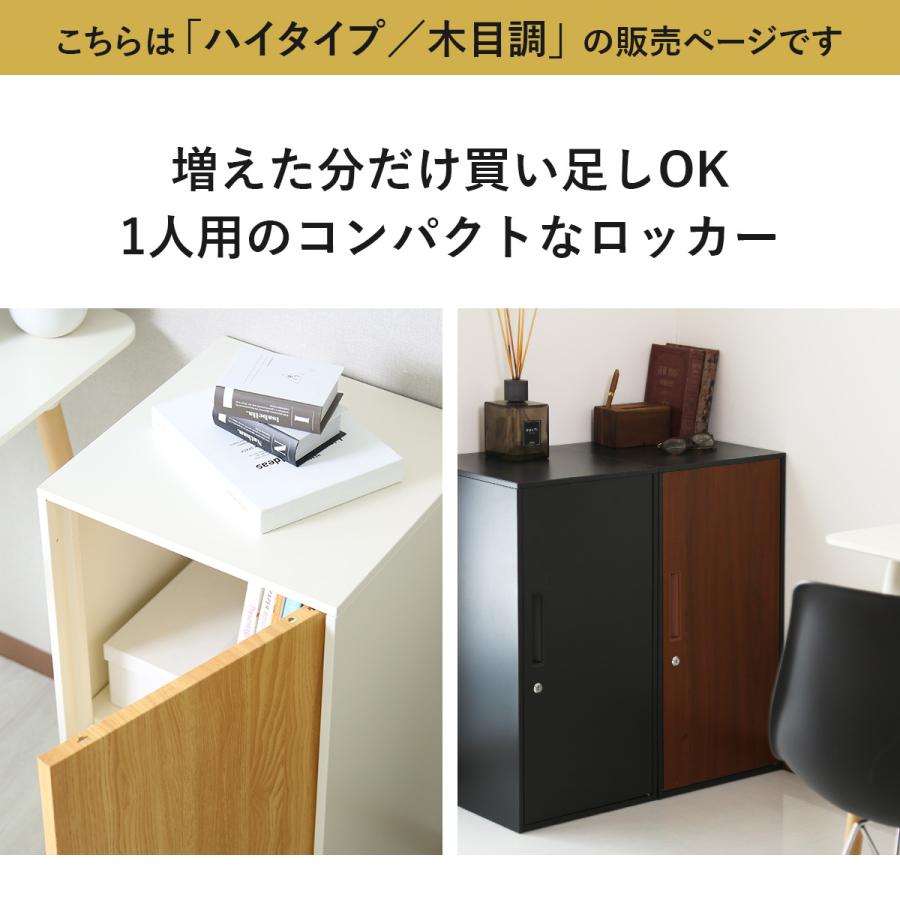 DORIS（ドリス） スチールロッカー おしゃれ 鍵付き 鏡付き 1人用 宅配