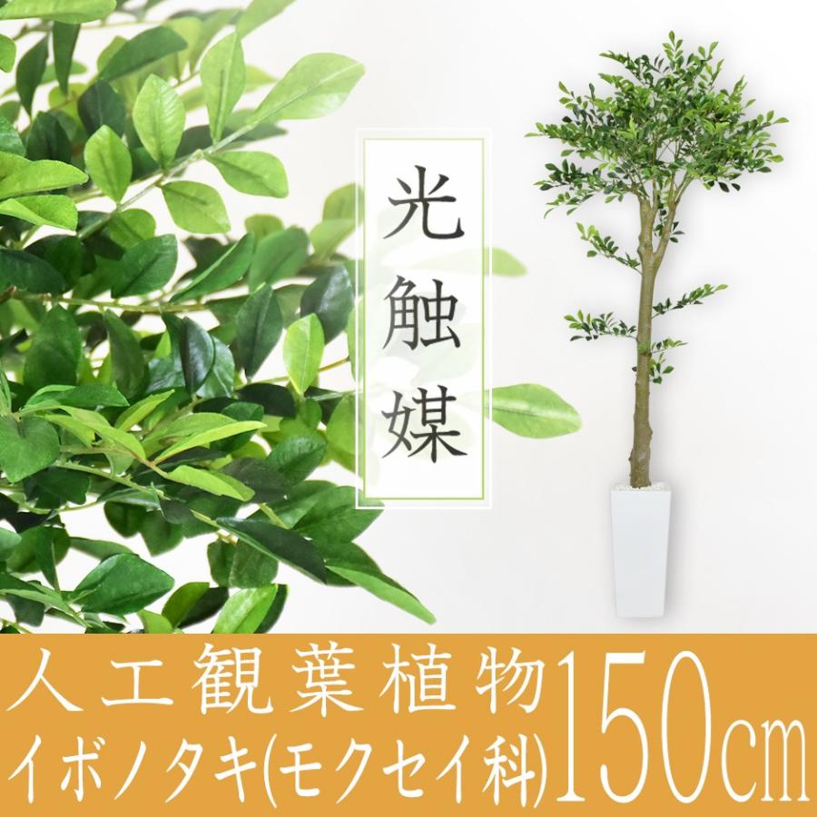 人工植物 観葉植物 DORIS 光触媒 造花 植物 フェイクグリーン 鉢付き リビング 消臭 殺菌 防臭 イボタノキモクセイ科 150cm 北欧 ドリス｜grazia-doris