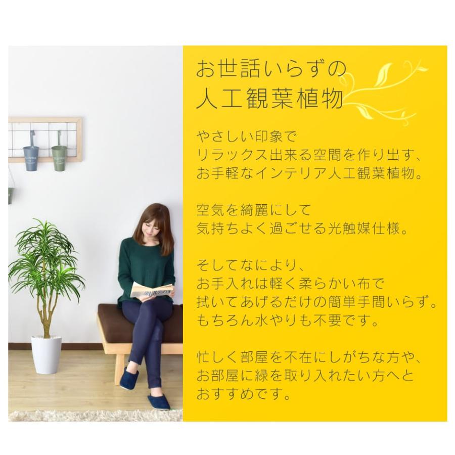 DORIS（ドリス） 人工植物 観葉植物 光触媒 造花 植物 フェイク