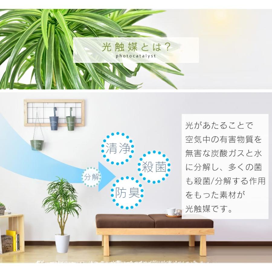 DORIS（ドリス） 人工植物 観葉植物 光触媒 造花 植物 フェイク