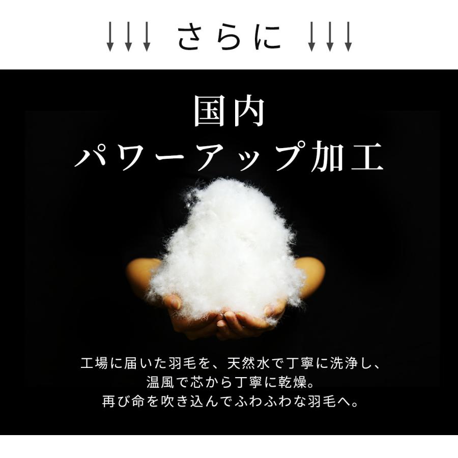 羽毛布団 日本製 国産 掛け布団 ダブル ダウン85％ CIL レッドラベル ダウンパワー300dp ダブル ドリス｜grazia-doris｜09