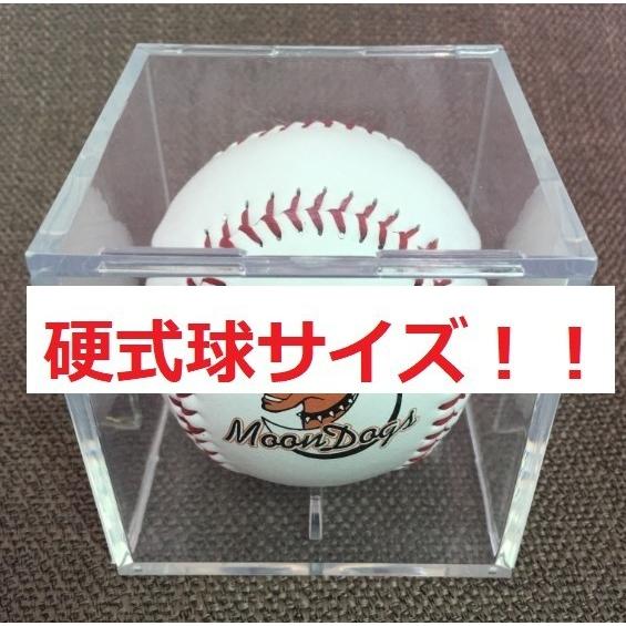 サインボール ケース 野球 硬式球モデル サイズ アクリル 保管 サインボール ケース 野球 硬式球モデル サイズ アクリル 保管