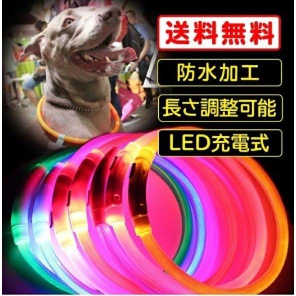 光る首輪 犬用 LED ペンダントセット 調整可能 防水 充電式 オマケ付 夜間 散歩 安全 目立つ 事故防止 小型犬 中型犬 大型犬|greatful|02
