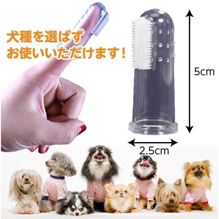 光る首輪 犬用 LED ペンダントセット 調整可能 防水 充電式 オマケ付 夜間 散歩 安全 目立つ 事故防止 小型犬 中型犬 大型犬|greatful|11