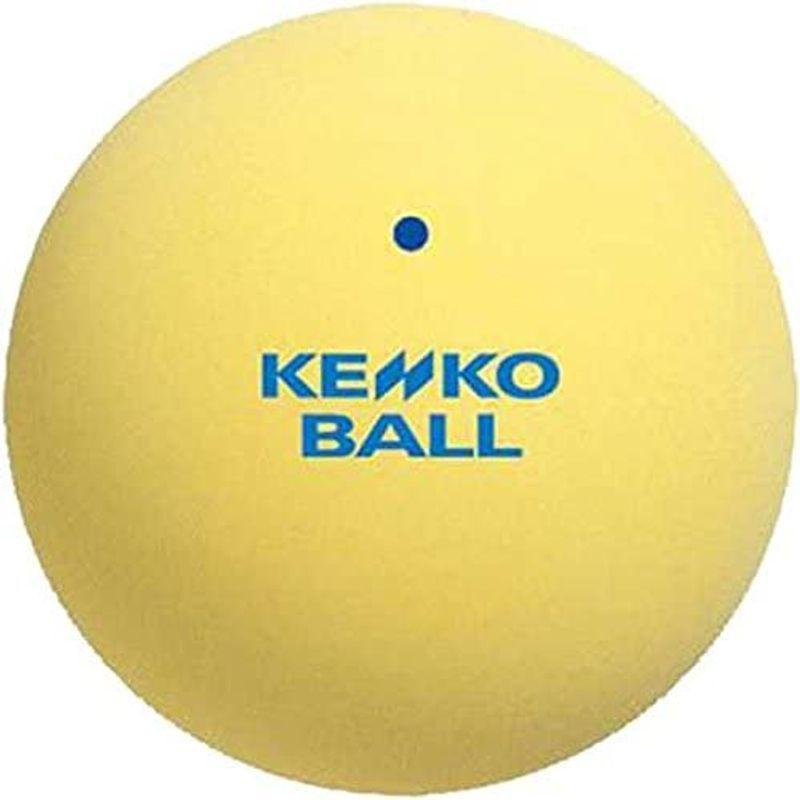 保障できる ソフトテニスボール ナガセケンコー Kenko スタンダード Tssy V 24set 2ダース 24個 練習球 イエロー ボール Www Radio10 Sr
