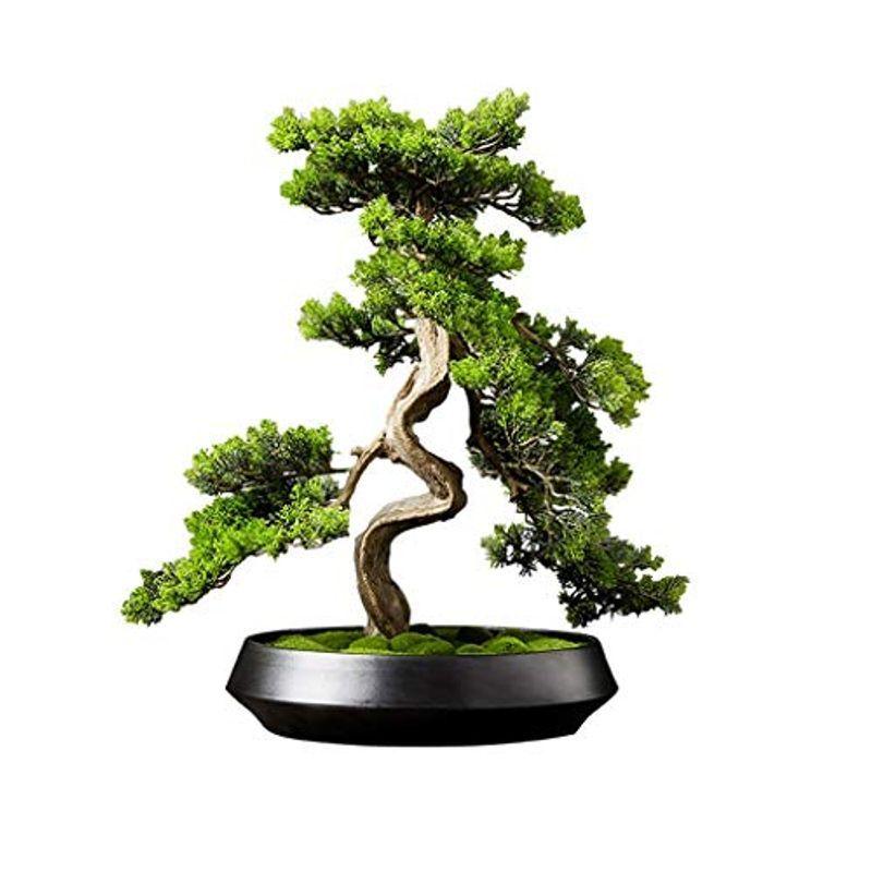 正規 店 東京 鉢植えの人工植物 通販 観葉植物 人工シーダー盆栽ツリーの偽の鉢植え屋内エバーグリーンホームオフィス表風水緑の装飾 人工ポット Yahoo ショッピング Greatseven 保証商品 Upliftingstar Com