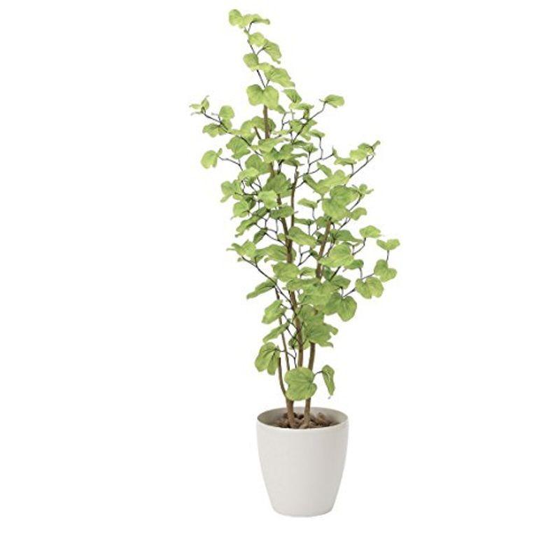 人工観葉植物バウヒニア1 61 6ｍ光触媒加工 フェイクグリーン代引き不可 ならショッピング ランキングや口コミも豊富なネット通販 更にお得なpaypay残高も スマホアプリも充実で毎日どこからでも気になる商品をその場でお求めいただけます 花