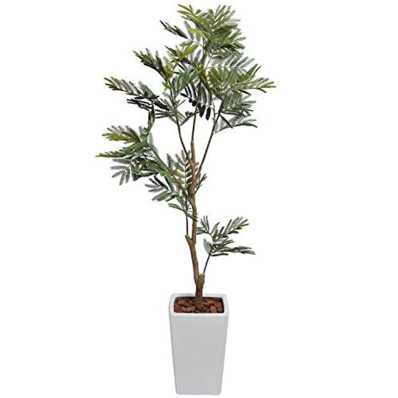 人工観葉植物 観葉植物 フェイクグリーン 観葉植物 造花 光触媒 大型 Greatsevenの人工観葉植物 エバーフレッシュ 175cm 白鉢 陶器製 観葉植物 ネムノキ エバーグリーン フェイ Greatseven