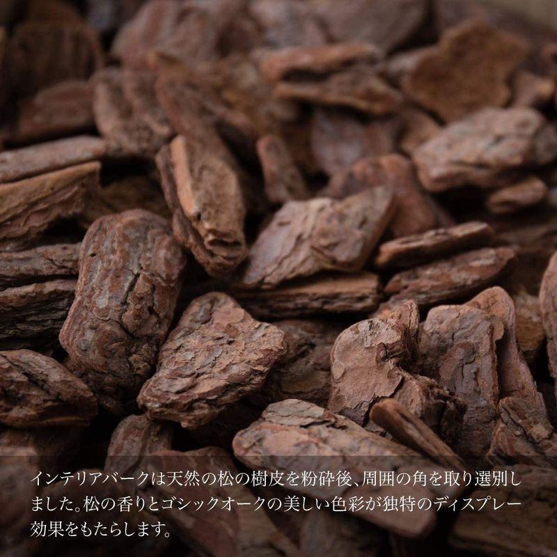 ★最終価格★ 七夕飾り 笹 竹 造花 人工 大型 バンブー(竹)Ｌ 200cm 黒鉢（陶器製） 和モダン 七夕 笹 飾り フェイクグリーン 人工観葉植物 【DGJ7007478386】(24728円)