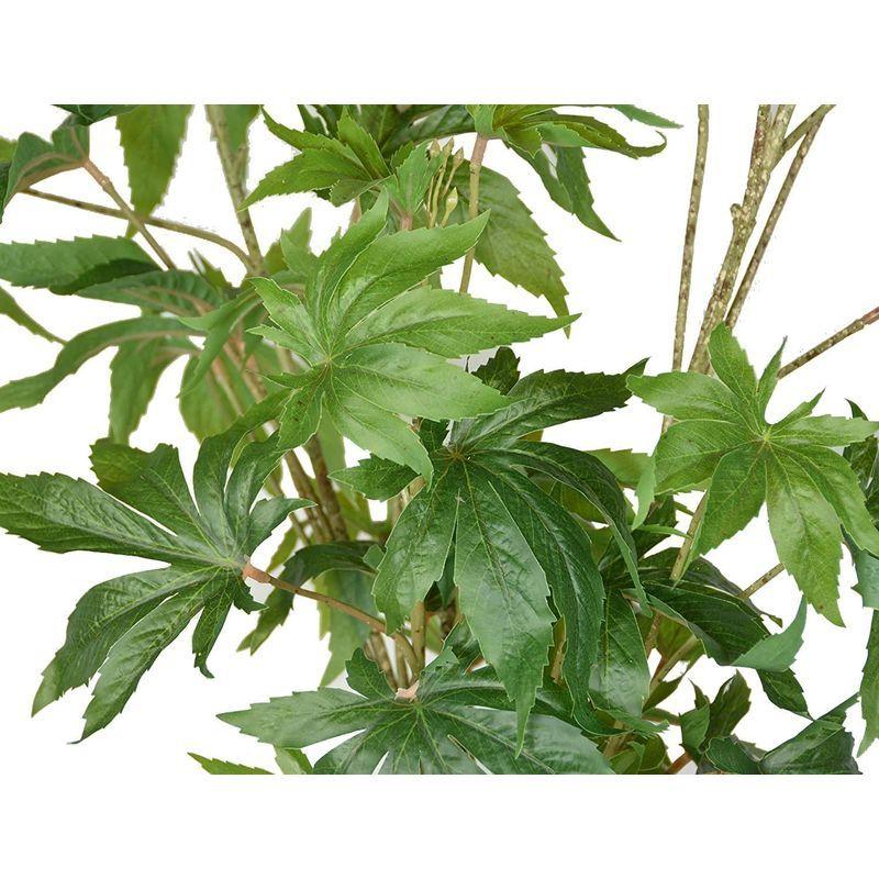 TenWaterloo 人工大麻植物 鉢植え植物 高さ36インチ 偽マリファナ 鉢植え装飾植物 高さ36インチ 人工大麻植物 鉢植え植物 偽マリファナ 鉢植え装飾植物