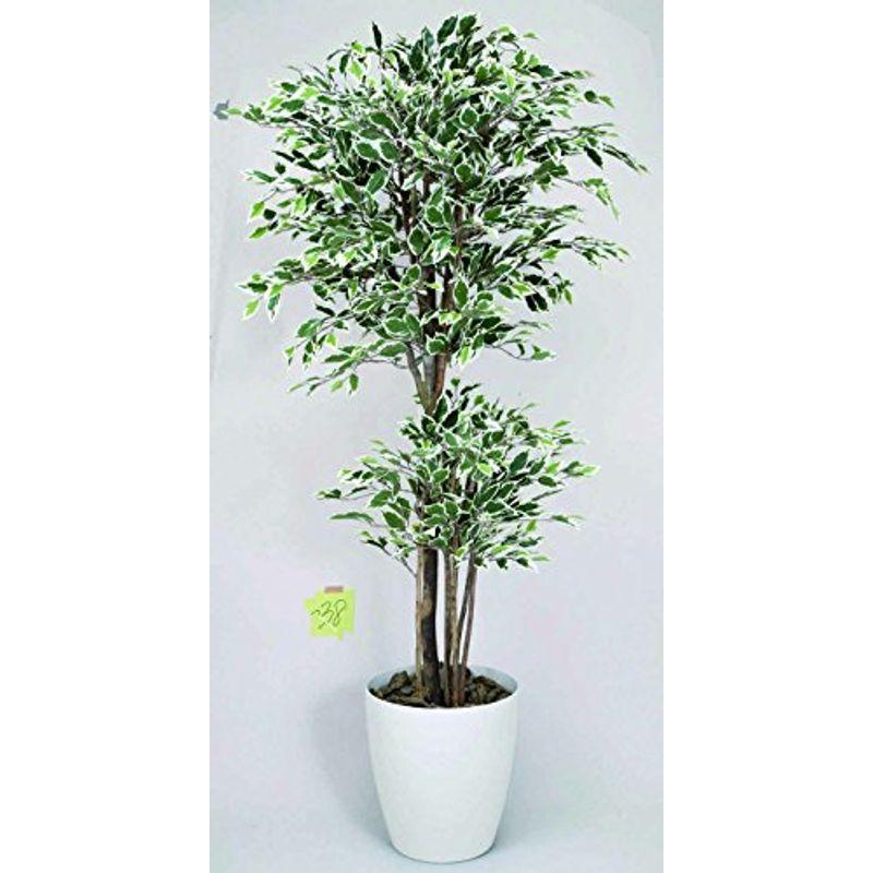 光触媒 トロピカルベンジャミン斑入り1 6m人工観葉植物 ならショッピング ランキングや口コミも豊富なネット通販 更にお得なpaypay残高も スマホアプリも充実で毎日どこからでも気になる商品をその場でお求めいただけます 花 ガーデニング