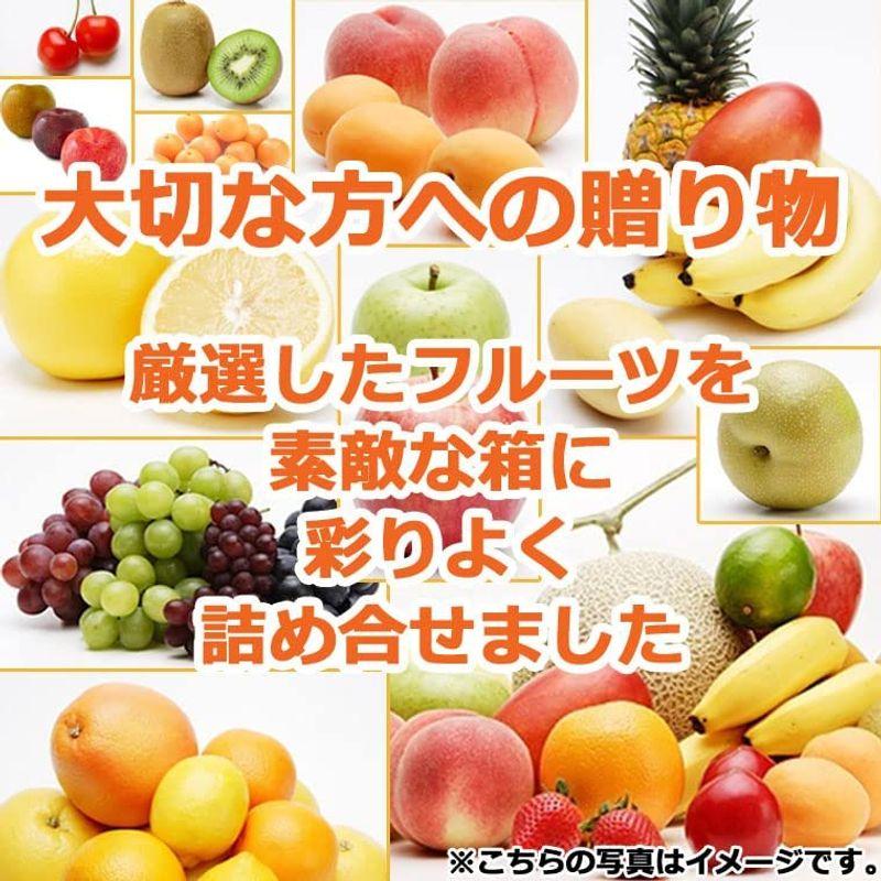 お供えフルーツ盛り オリジナルりぼん付ラッピング くだもの フルーツ 
