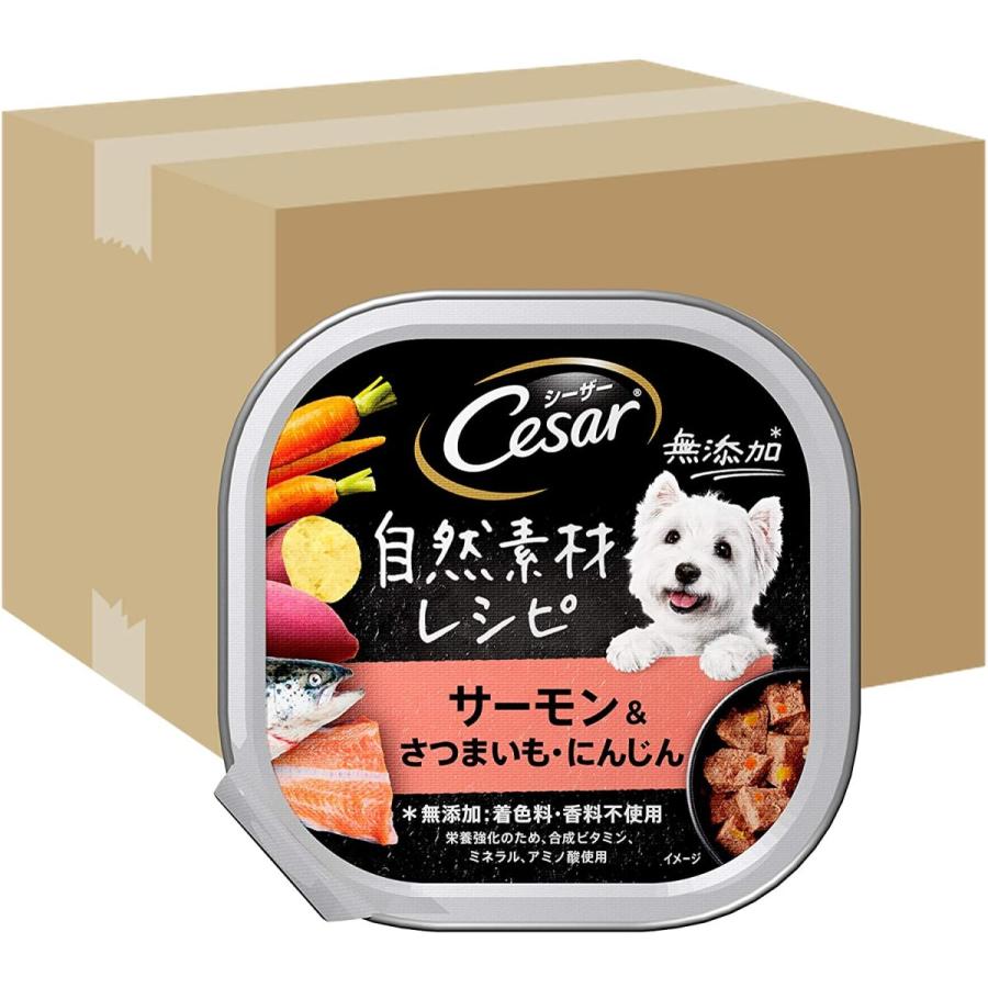 史上最も激安 シーザー ドッグフード 自然素材レシピ サーモン Amp さつまいも にんじん 成犬用 85g 112個 ケース販売 安心の定価販売 Desasebadaihulu Natunakab Go Id